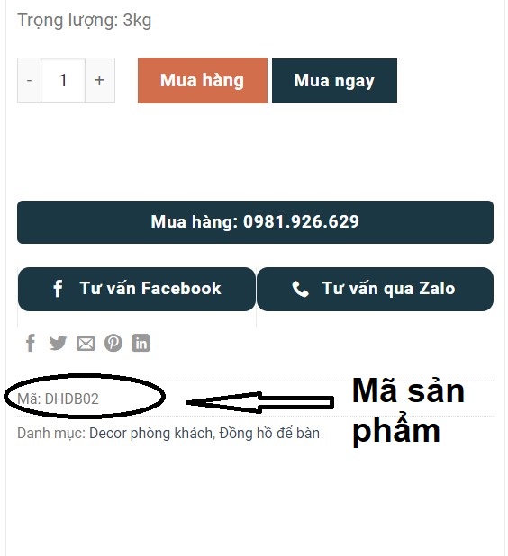 huong dan thanh toan