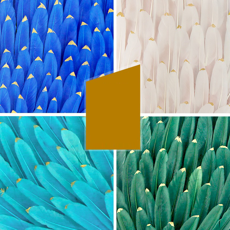 tranh tron 3d long vu