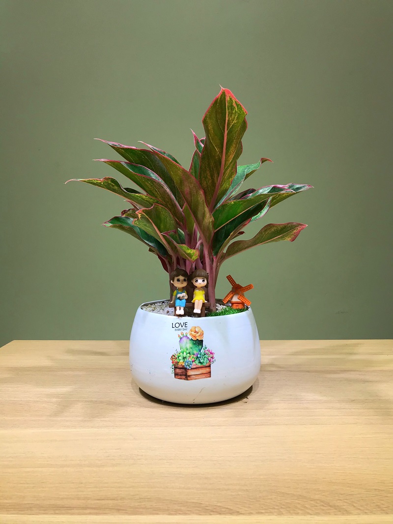 Vật phong thủy cho người sinh năm 1991 để bàn làm việc