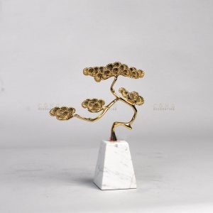 Cây tùng trên đá cẩm thạch