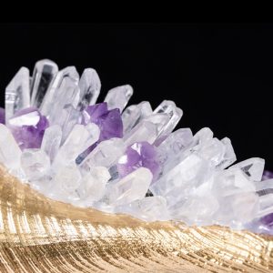 ốc biển gắn đá thạch anh